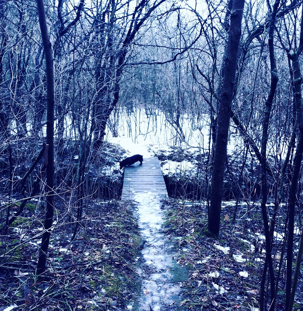 Pittock Trail - East Trailhead | 1700150 -7121220, 43 Rd 80, Embro, ON N0J 1J0, Canada