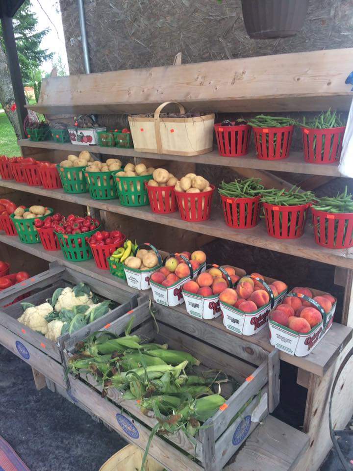 Kennedy garden center and growers of caledon | 13540 KennedyRoad South, Inglewood, ON L7C 2G2, Canada | Phone: (416) 567-7066