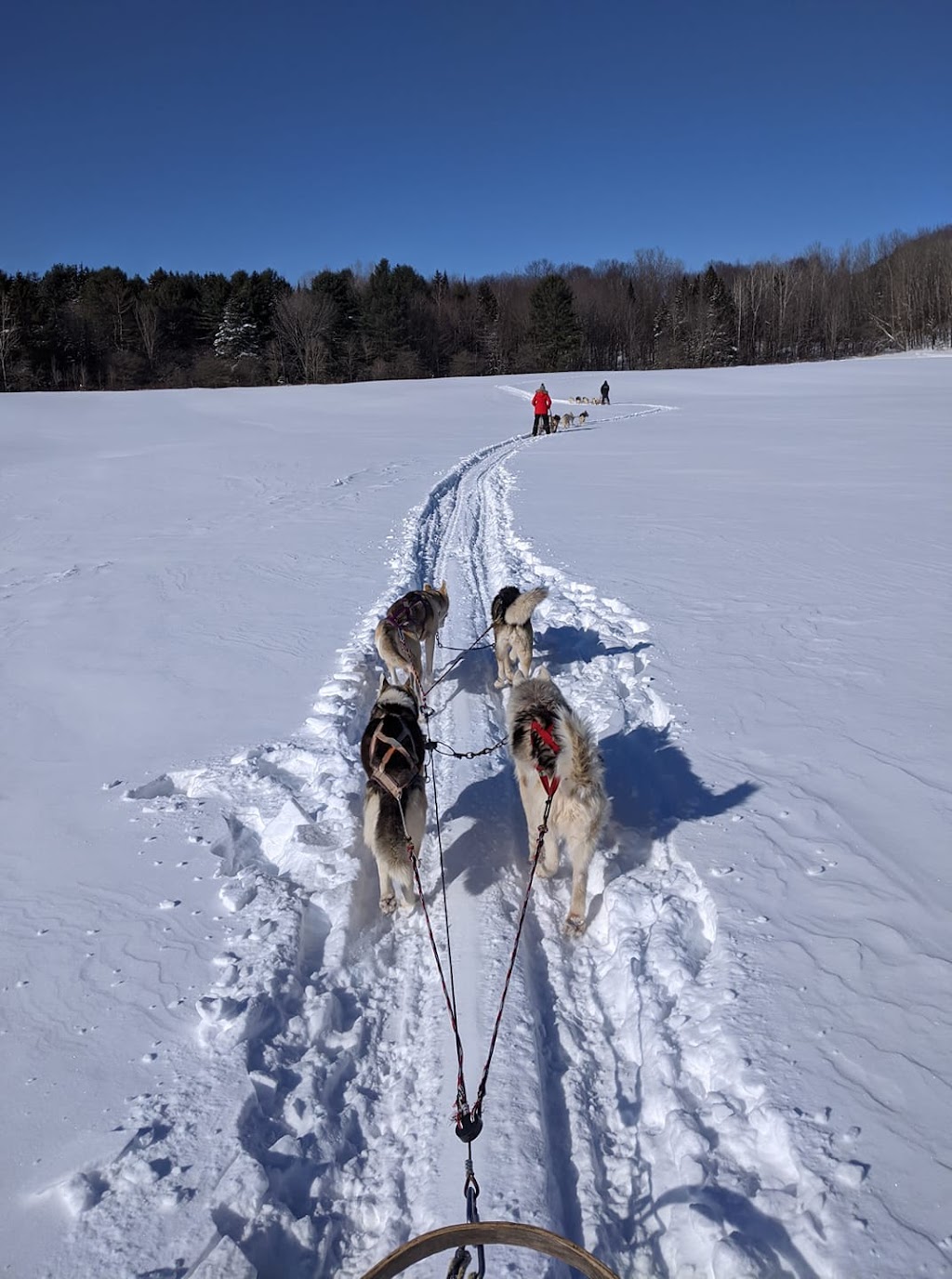 Chiens de traîneau Gatineau Sled Dogs | 10 Mnt Dumouchel, Thurso, QC J0X 3B0, Canada | Phone: (819) 983-2410