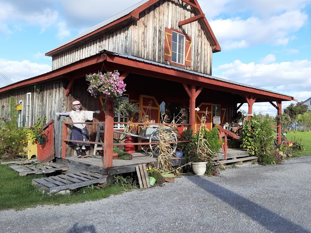 Ferme Tournesol | 5050 Rte des Bouleaux, Shipshaw, QC G7P 1E3, Canada | Phone: (418) 412-4858