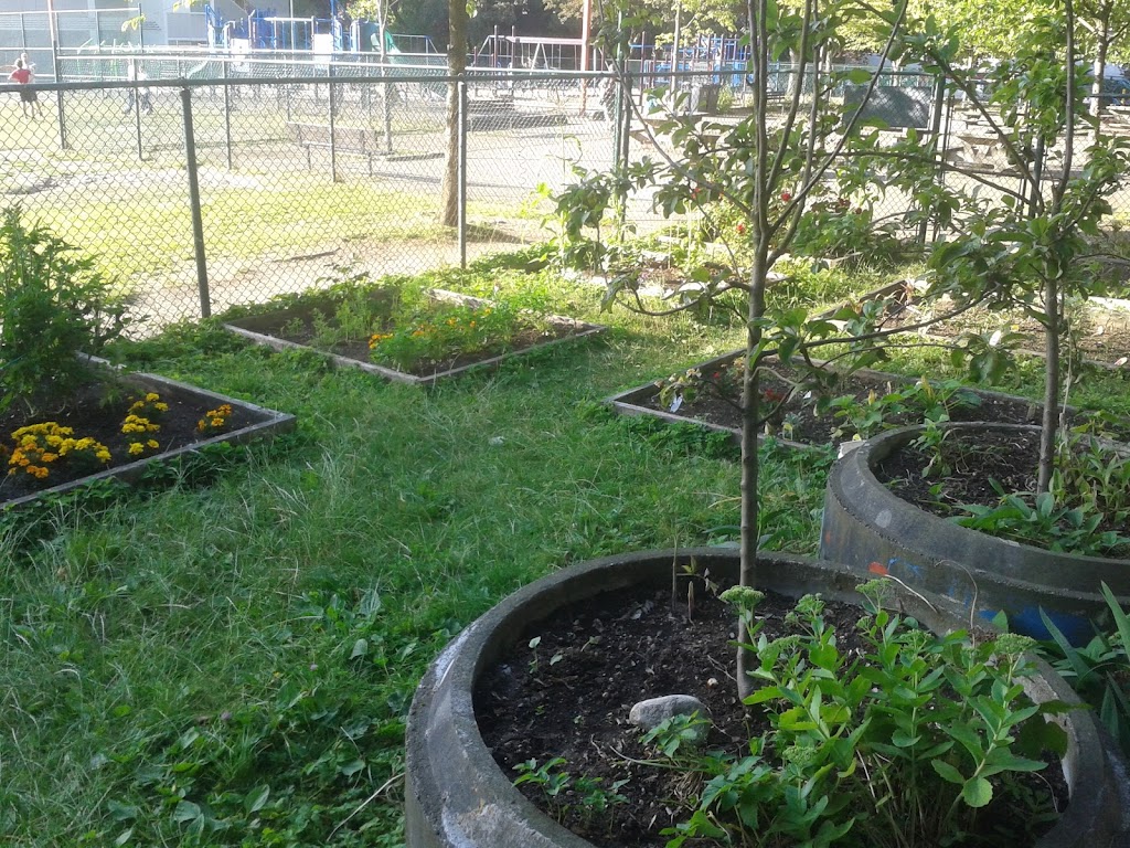 Lord Roberts School Garden | 1100 Bidwell St, Vancouver, BC V6G 2X7, Canada | Phone: (604) 713-5055