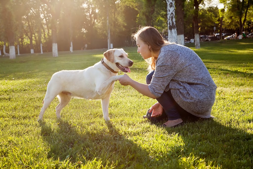Montreal Dog Training | 1912 Rue de Ville-Marie, Montréal, QC H1V 3K3, Canada | Phone: (514) 941-2178