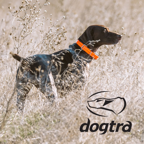 Dog E Gear | 4666 Anderson Rd, Carlsbad Springs, ON K0A 1K0, Canada | Phone: (613) 869-2275