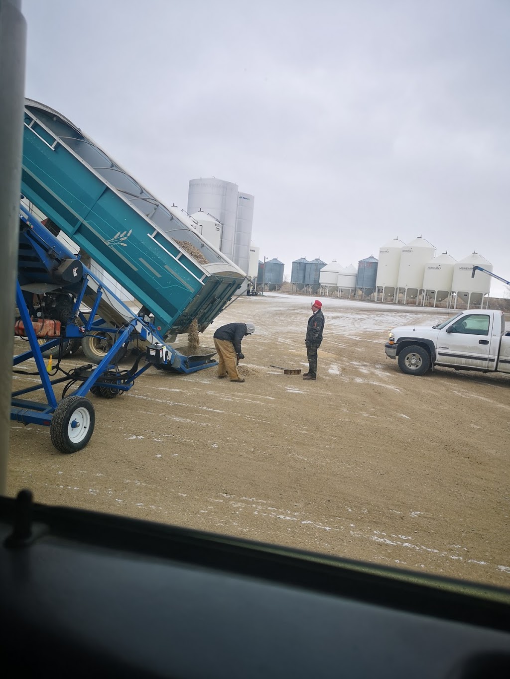 Watson Seeds Ltd. | Saskatchewan 334, Elmsthorpe No. 100, SK S0H 0C0, Canada | Phone: (306) 868-4402
