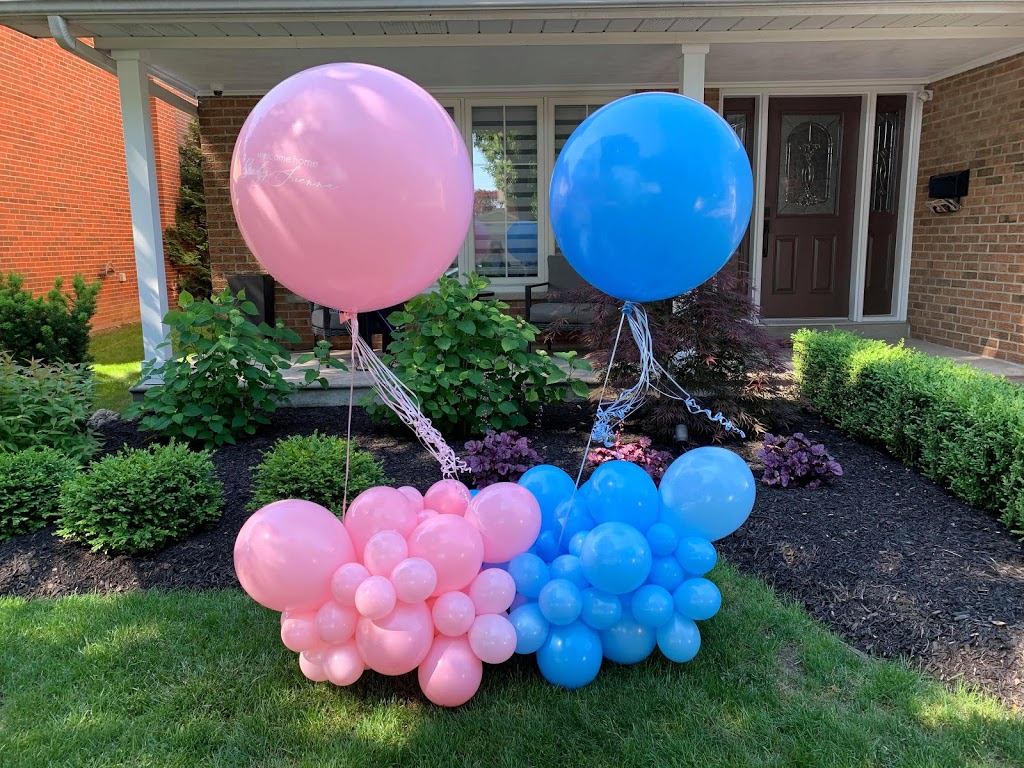 A Balloon King Party Centre | 592 Rathburn Rd W, Mississauga, ON L5B 3A4, Canada | Phone: (416) 603-4347