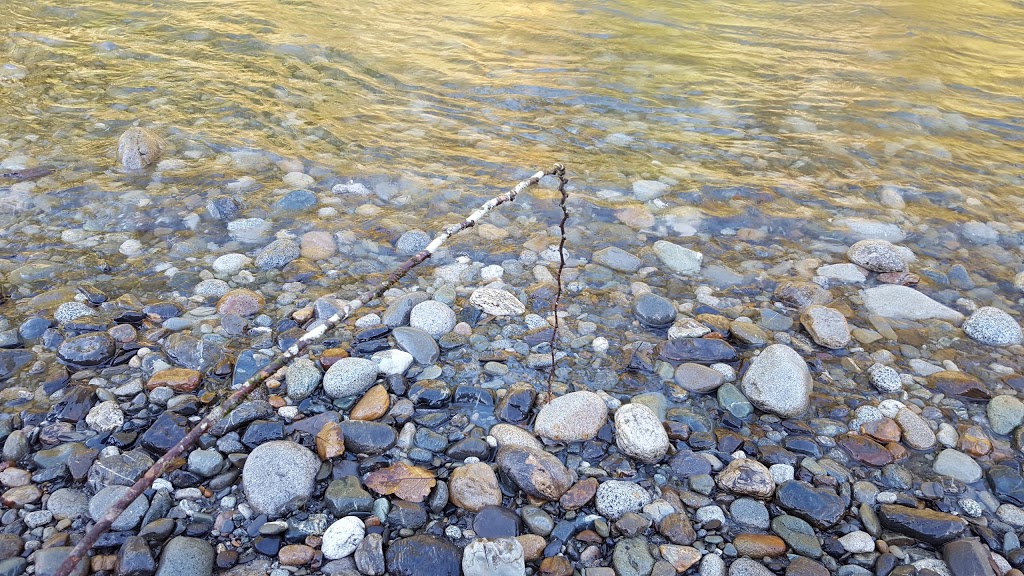 Allison Pool Campground | Chilliwack Lake Rd, Rosedale, BC V0X 1X0, Canada | Phone: (604) 824-0576