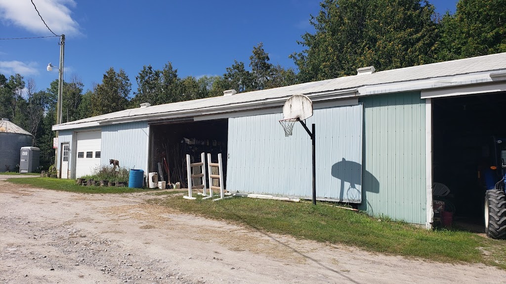 Stillbrook Riding Stables | 570 Woodside Rd, Keene, ON K0L 2G0, Canada | Phone: (705) 295-4538