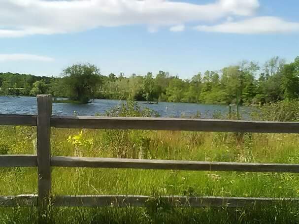 Beaver Island Nature Center | Park Rd, Beaver Island Pkwy, Grand Island, NY 14072, USA