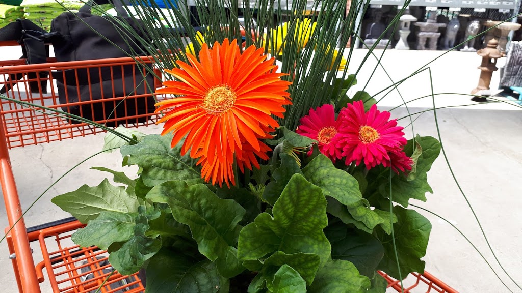 Pro Desk at The Home Depot | 825 Caledonia Rd, North York, ON M6B 3X8, Canada | Phone: (416) 780-4745