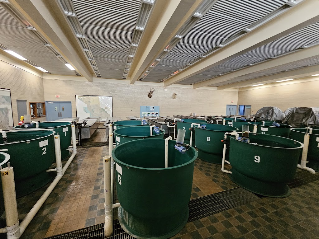 Kootenay Trout Hatchery & Visitor Centre | Fenwick Rd, Wardner, BC V0B 2J0, Canada | Phone: (250) 429-3214