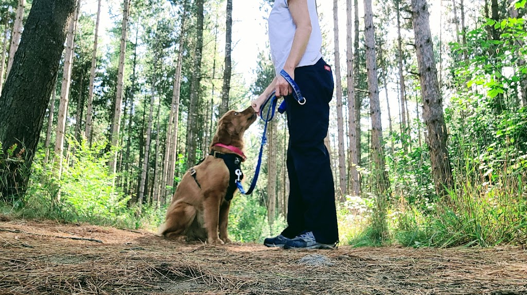 Dog Grrrl Canada | 70 Roc Rd, Tiny, ON L0L 2J0, Canada | Phone: (705) 302-8033