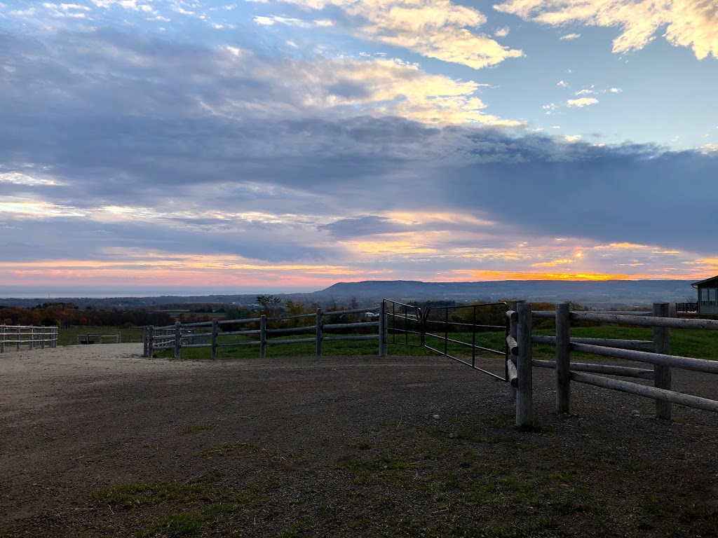 Harmony Ridge Equestrian Center | Grey Highlands, ON N0H 1J0, Canada | Phone: (705) 888-7669