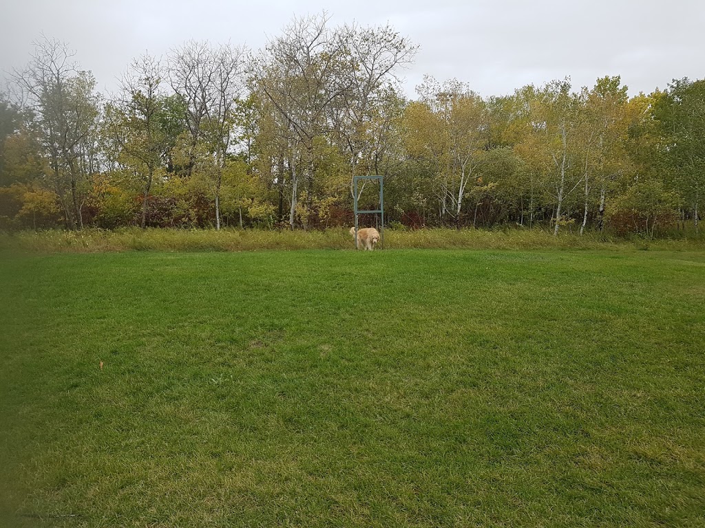 Charleswood Off Leash Dog Park | 3890 Haney St, Winnipeg, MB R3R, Canada