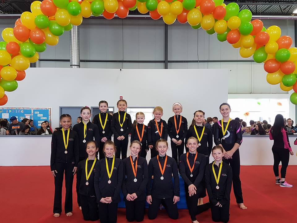 Artistique Gymnastics Club and Playschool | 7102 52 St #17, Lacombe, AB T4L 1Y9, Canada | Phone: (403) 358-8498