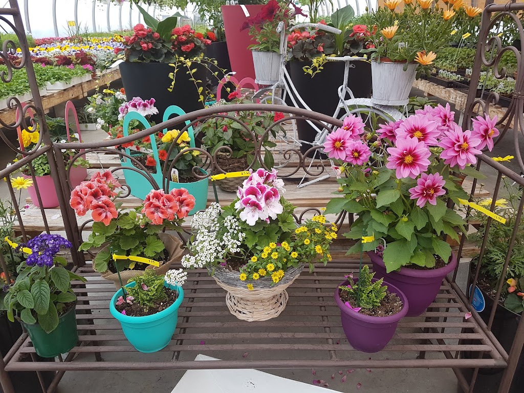 Centre jardin et travaux Pamaka | 4331 QC-112, East Broughton, QC G0N 1G0, Canada | Phone: (418) 427-2817