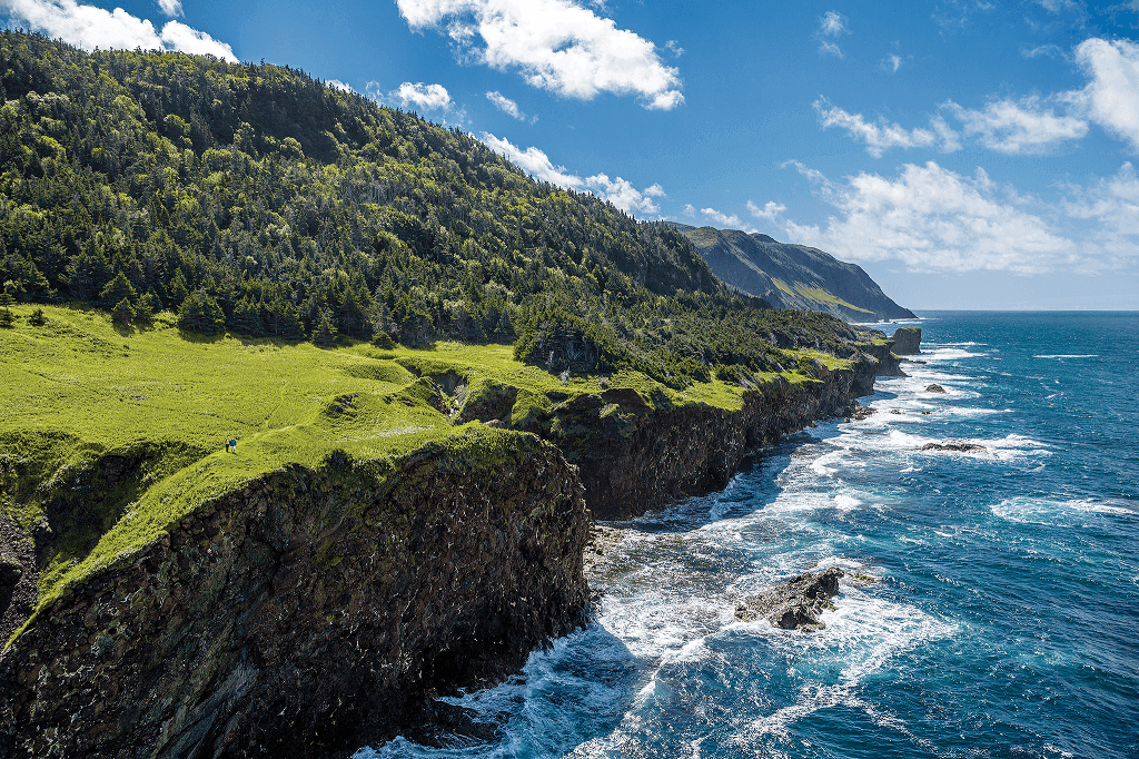 Experience NL Travel Agency Limited | 5 Boggy Ln Box 106, Renews, NL A0A 3N0, Canada | Phone: (800) 270-3094