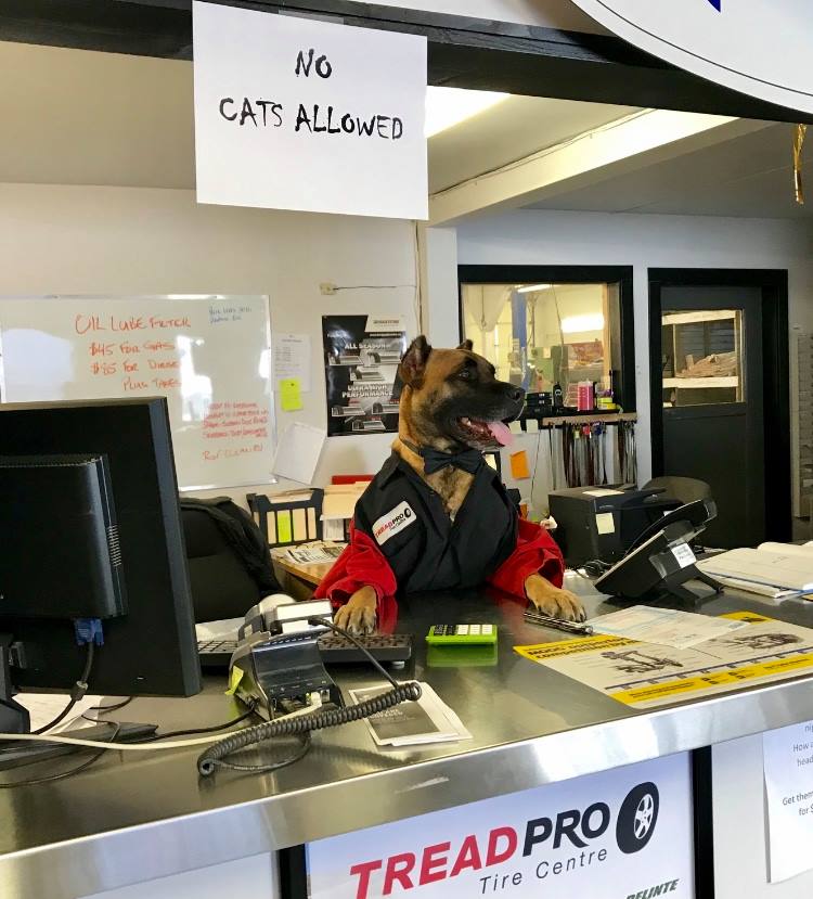 Canadian 4X4 Auto Repair | Treadpro Tire | 2050 George St #2, Enderby, BC V0E 1V0, Canada | Phone: (250) 838-6949