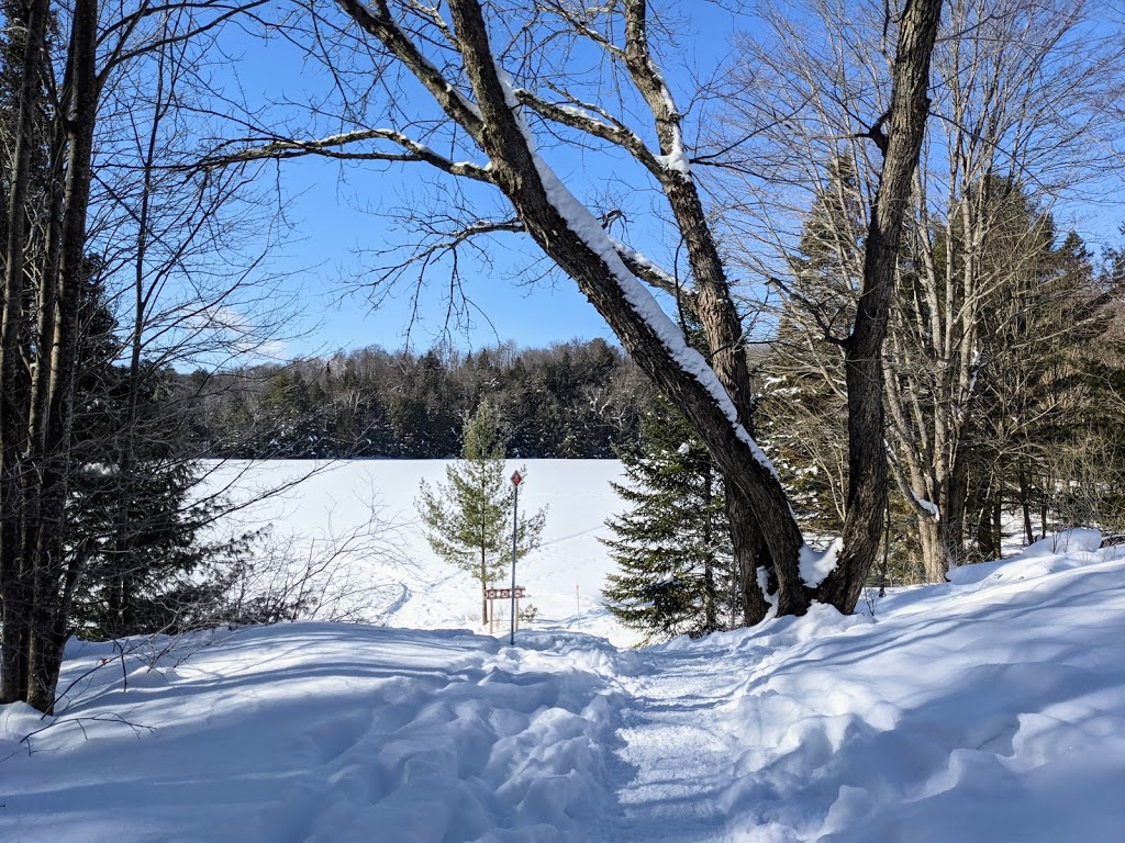Mayflower Lake Trail | Huntsville, ON P1H 2J4, Canada | Phone: (705) 789-5105