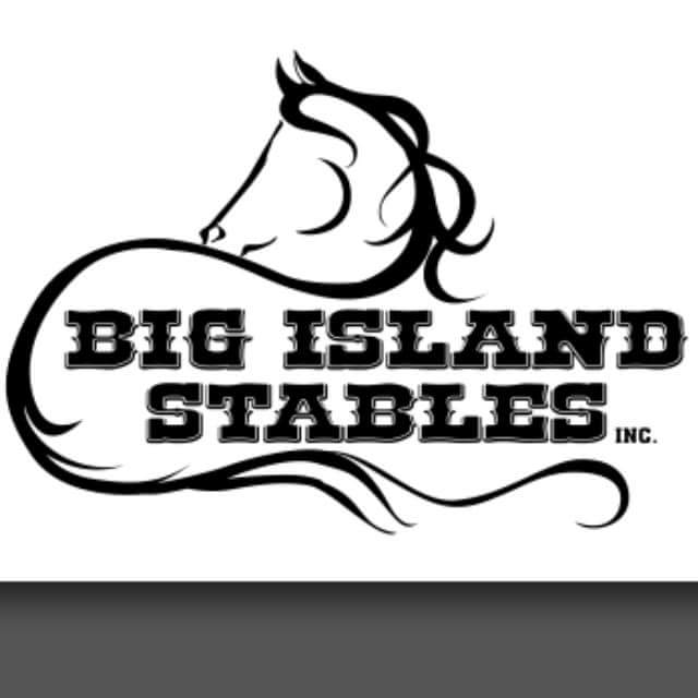 Big Island Stables | 52152 Range Rd 224, Sherwood Park, AB T8C 1B7, Canada | Phone: (780) 887-9770