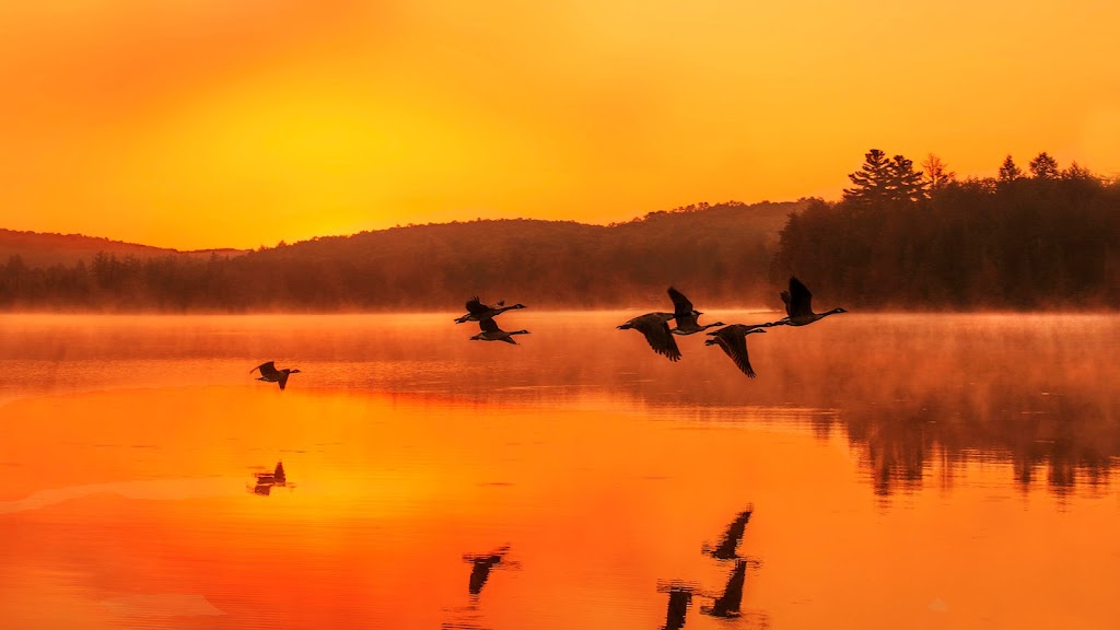 Camp Adelaide | 15372 ON-118, Haliburton, ON K0M 1S0, Canada | Phone: (705) 457-3357