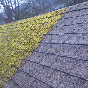 Harrisons Window Washing | 3245 Puffin Pl, Victoria, BC V9C 0G7, Canada | Phone: (778) 676-6274