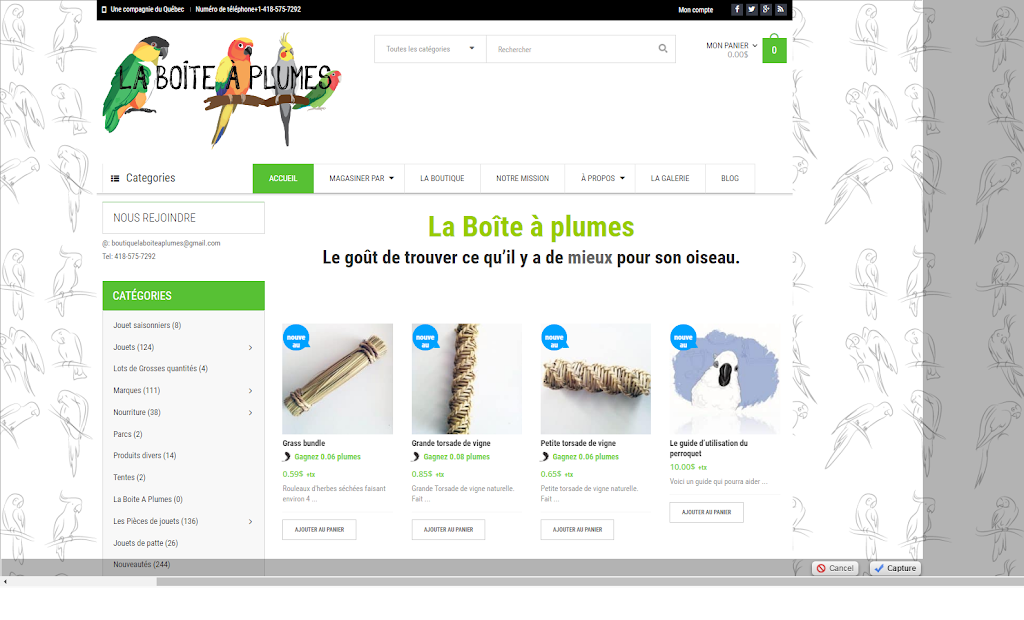 La boîte à plumes - Boutique en ligne pour oiseaux | 1971 Avenue Lapierre, Québec, QC G3E 0J5, Canada | Phone: (581) 705-1204
