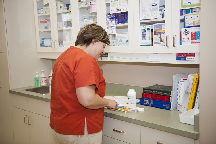 Village Veterinary Clinic | 1108 Concession St, Russell, ON K4R 1A6, Canada | Phone: (613) 445-5622