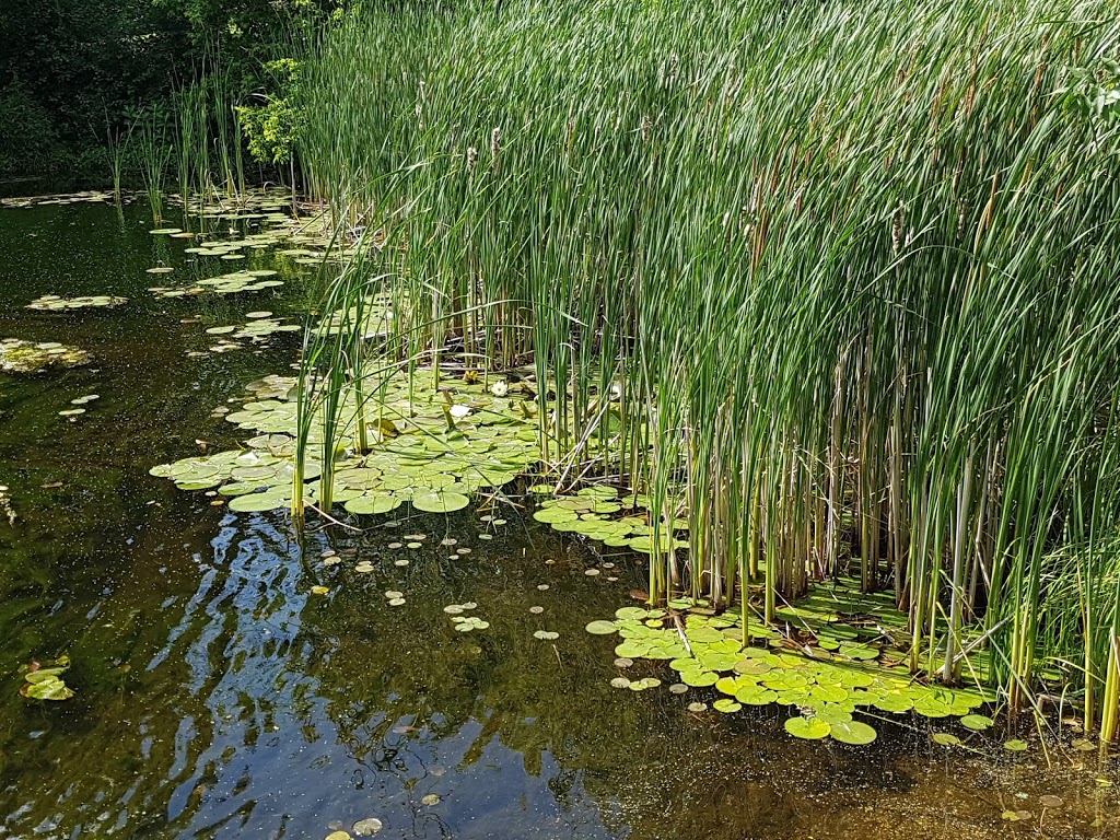 Riverside Park | 12 Church Blvd #4, Erin, ON N0B 1T0, Canada