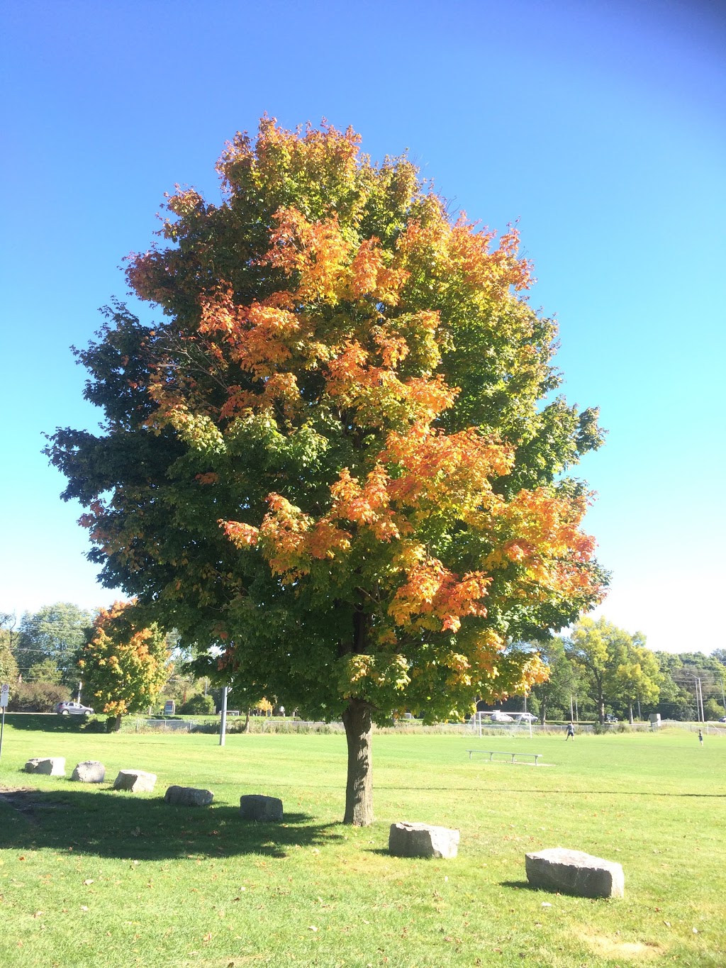 North London Athletic Fields | 1225 Adelaide St N, London, ON N5Y, Canada