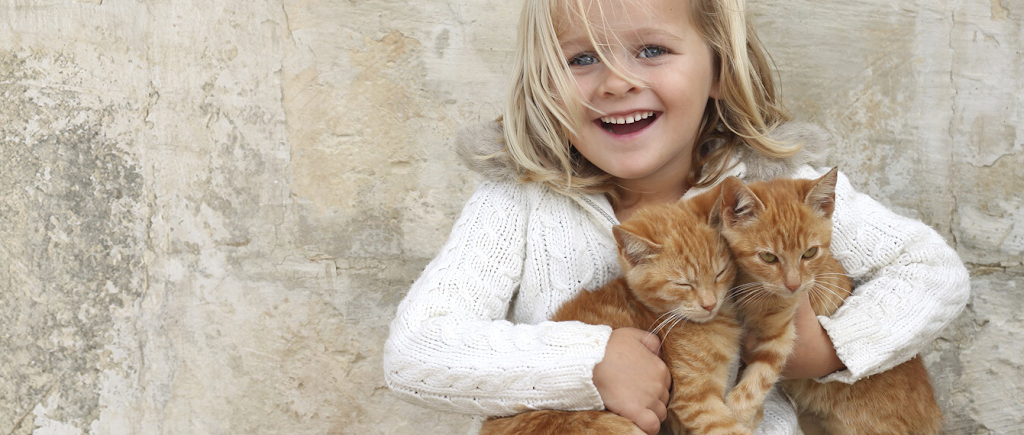 Clinique Vétérinaire Des Petits Animaux De LEstrie | 155 Rue Sauvé, Sherbrooke, QC J1L 1L6, Canada | Phone: (819) 821-1161