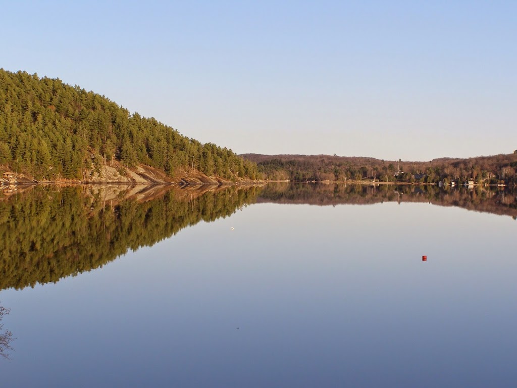 Mary Lake Marina | 105 Fitzgerald Dr, Utterson, ON P0B 1M0, Canada | Phone: (705) 789-8359