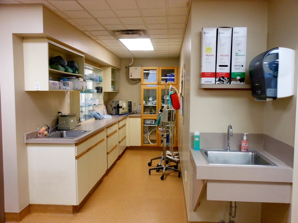 Lancaster Small Animal Hospital: Fetzner Heather A DVM | 5156 Genesee St, Bowmansville, NY 14026, USA | Phone: (716) 681-3033