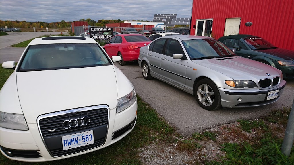 Eurohaus | 120 Norweld Dr, Orillia, ON L3V 7W5, Canada | Phone: (705) 826-1574