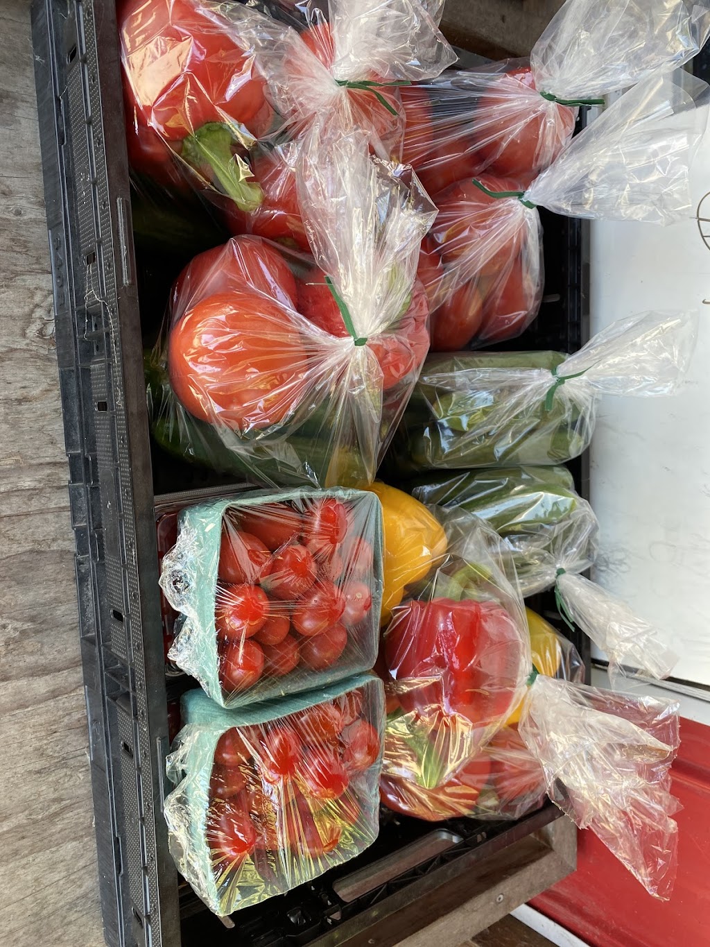 Eppic Meadow Farms | 6550 Chilliwack River Rd, Chilliwack, BC V2R 4M3, Canada | Phone: (604) 897-7013