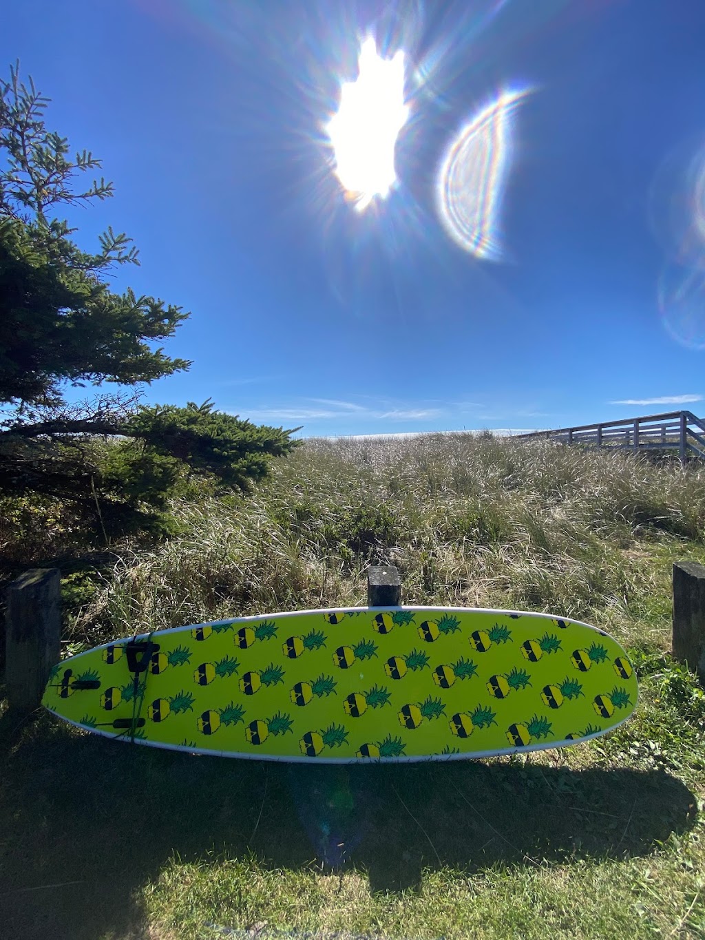 Surf Martinique with Halifax Surf School | 193 Martinique Beach Rd, Musquodoboit Harbour, NS B0J 2L0, Canada | Phone: (902) 789-5483