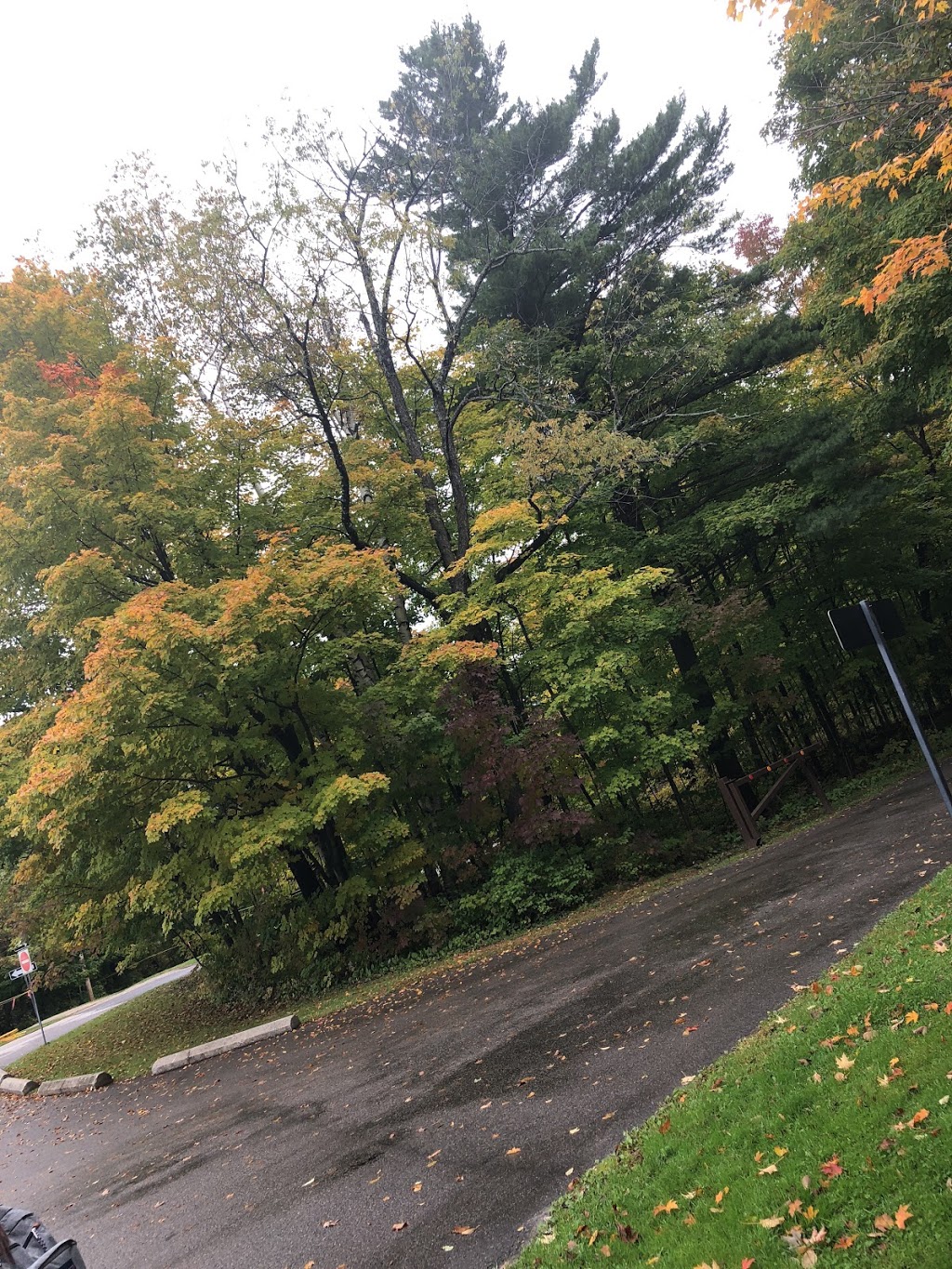 Gatineau Park | Hull, Gatineau, QC J9A, Canada