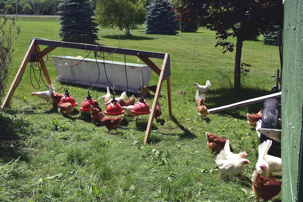 Your Farms | 207353 ON-9, Mono, ON L9W 6J2, Canada | Phone: (519) 938-0952