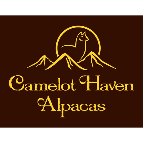 Camelot Haven Alpacas | Vernon, BC 1P9, 6841 Raven Rd, Vernon, BC V1H 1P9, Canada | Phone: (250) 549-2959