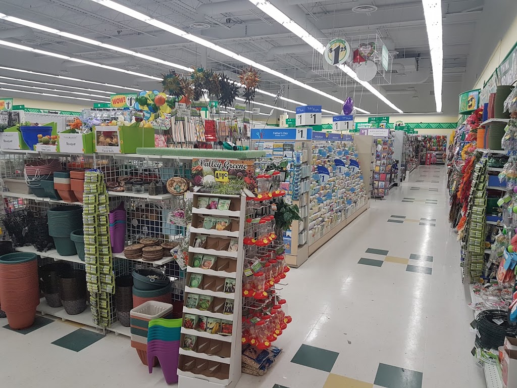 Dollar Tree | 33 Mapleview Dr W C4, Barrie, ON L4N 9H5, Canada | Phone: (705) 728-4244