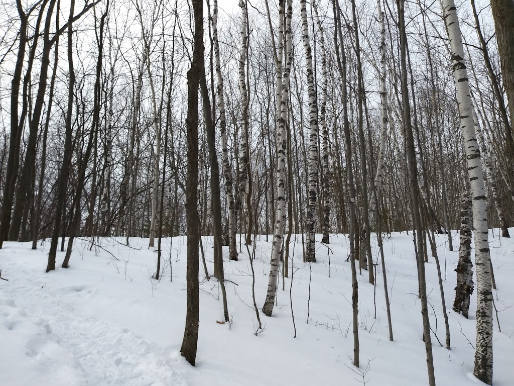 Glen Major Forest | Uxbridge, ON L0C, Canada
