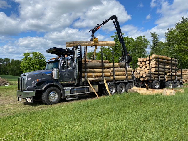 Robinson Forest Products Ltd. | 158 McGee Rd, Stirling, ON K0K 3E0, Canada | Phone: (613) 395-5384