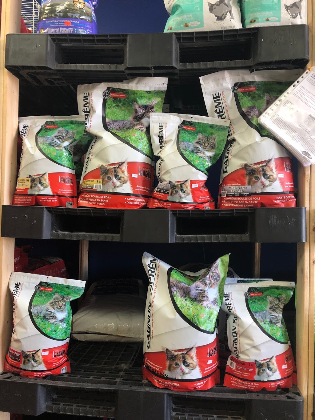 Animalerie Vacourt | 1224-A Rue Saint Joseph, Valcourt, QC J0E 2L0, Canada | Phone: (819) 791-3939