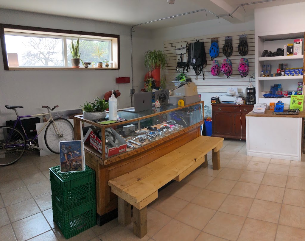 Gremlins Bicycle Emporium | 42 Adelaide St N, London, ON N5Z 1J6, Canada | Phone: (226) 884-4869