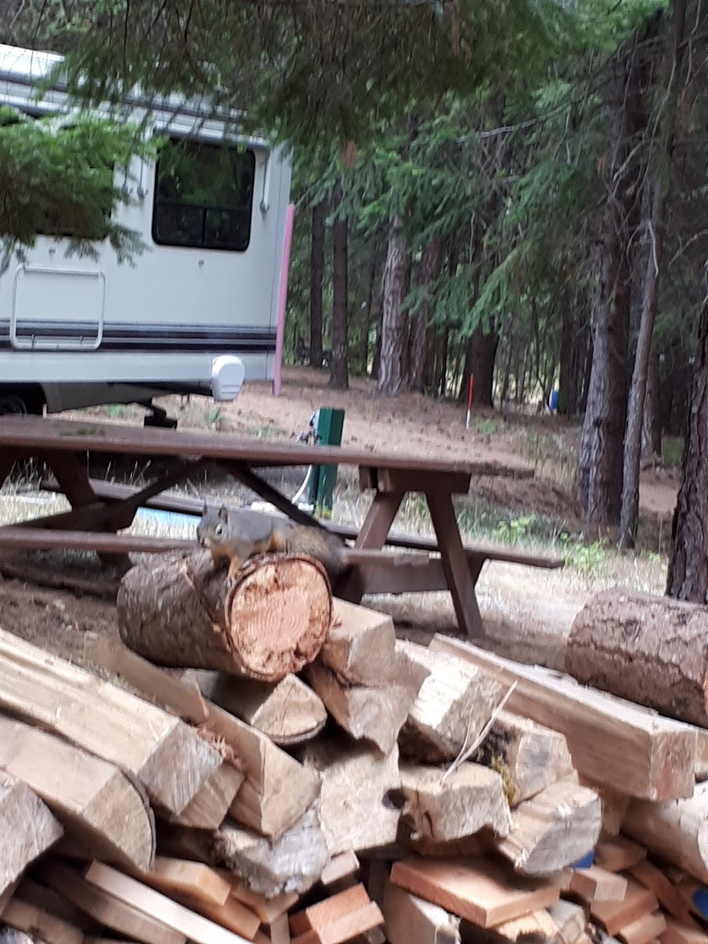 Wilderness Ranch RV Resort | Boston Bar, BC V0K 1C0, Canada | Phone: (604) 786-3940