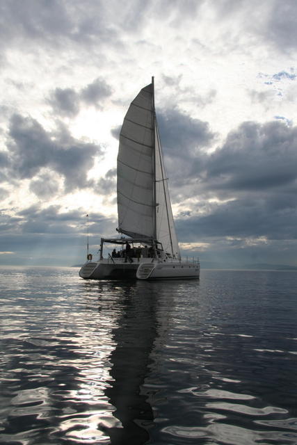 Gato Verde Adventure Sailing | 355 Harris Ave #108, Bellingham, WA 98225, USA | Phone: (360) 220-3215