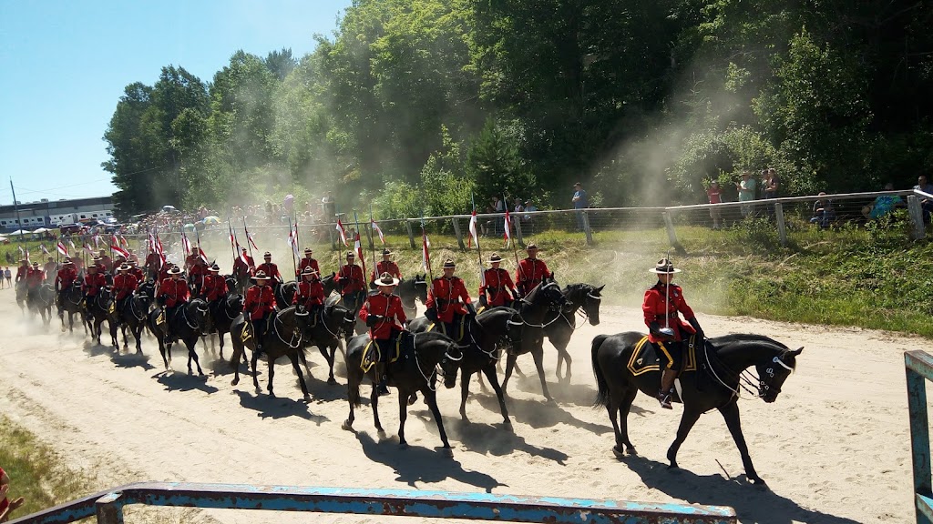Armour Ryerson & Burks Falls Memorial Arena | 220 Centre St, Burks Falls, ON P0A 1C0, Canada | Phone: (705) 382-3811