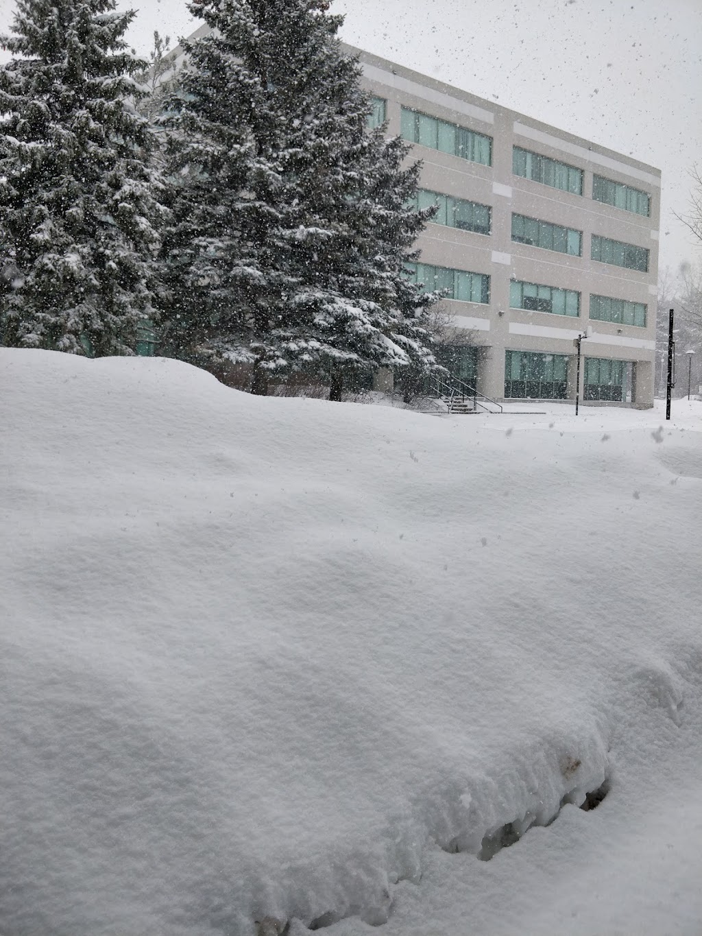 The Ottawa Hospital Riverside Campus | 1967 Riverside Dr., Ottawa, ON K1H 7W9, Canada | Phone: (613) 798-5555