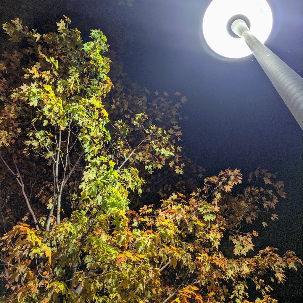 Erwin Krickhahn Park | 121 Rankin Crescent, Toronto, ON M6P 4G6, Canada | Phone: (416) 392-2489