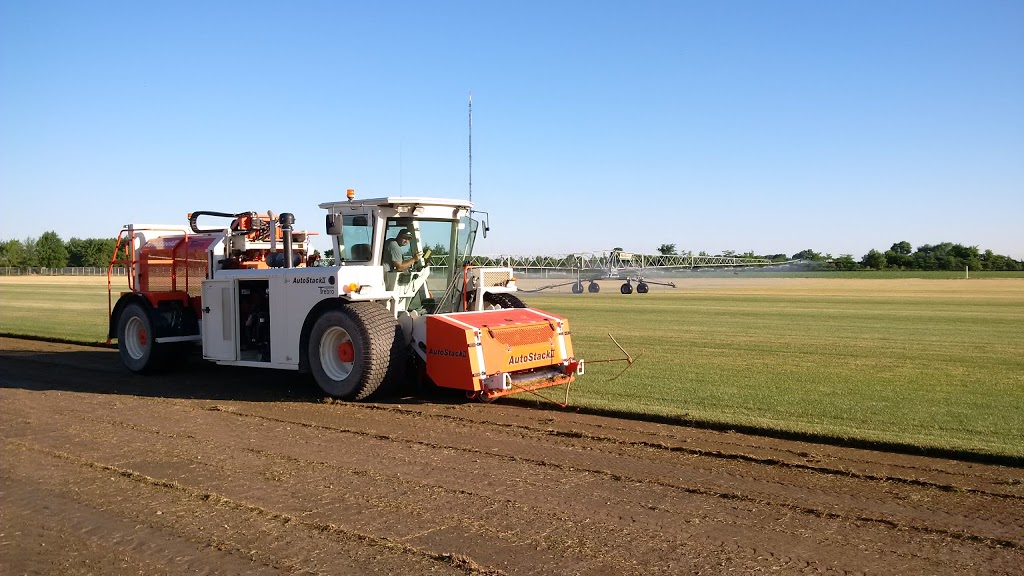 L & M Sod Farms Ltd. | 15511 Essex 8, Oldcastle, ON N0R 1L0, Canada | Phone: (519) 737-7214