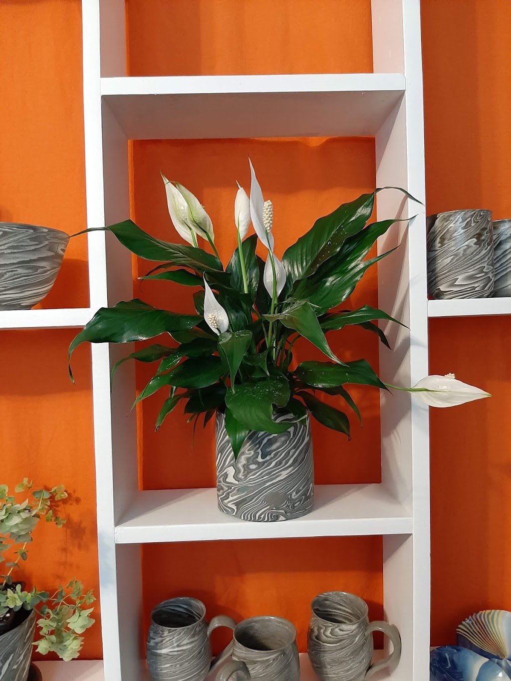Hermann-Suzuki Pottery | Ferry Rd, Cornwall, PE C0A 1H0, Canada | Phone: (902) 393-2388